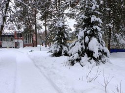 lastochka-01-2024-1