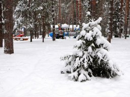 lastochka-01-2024-109