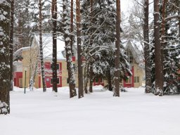 lastochka-01-2024-114