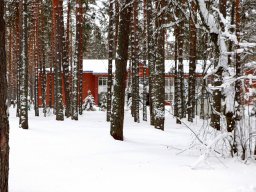 lastochka-01-2024-122